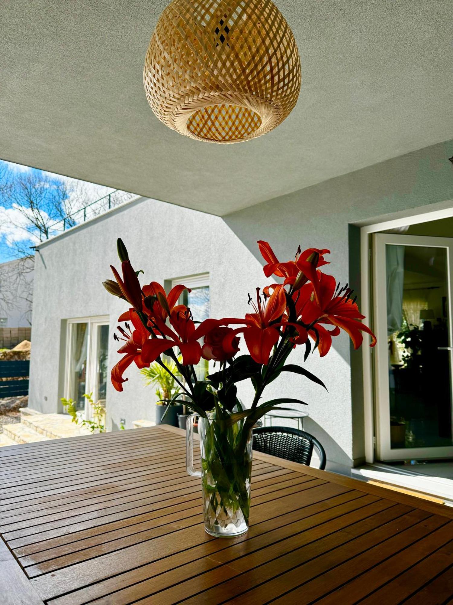 Luxury Villa Andrea Vrzika In Forest Near The Sea Zagvozd 외부 사진