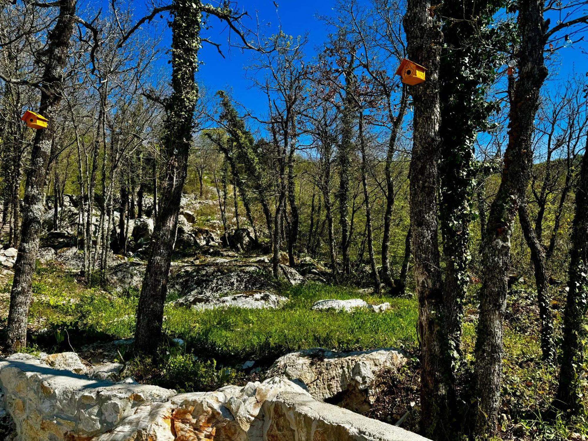 Luxury Villa Andrea Vrzika In Forest Near The Sea Zagvozd 외부 사진